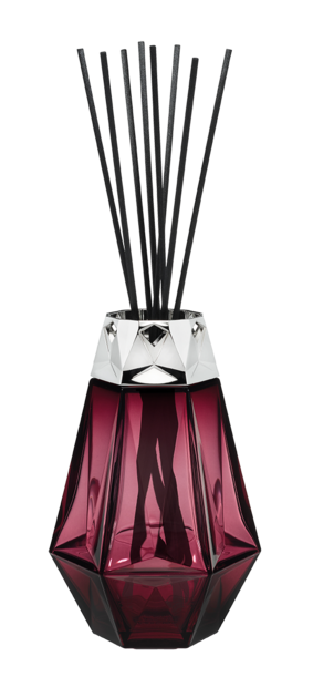 PRISME GRENAT / TERRE SAUVAGE